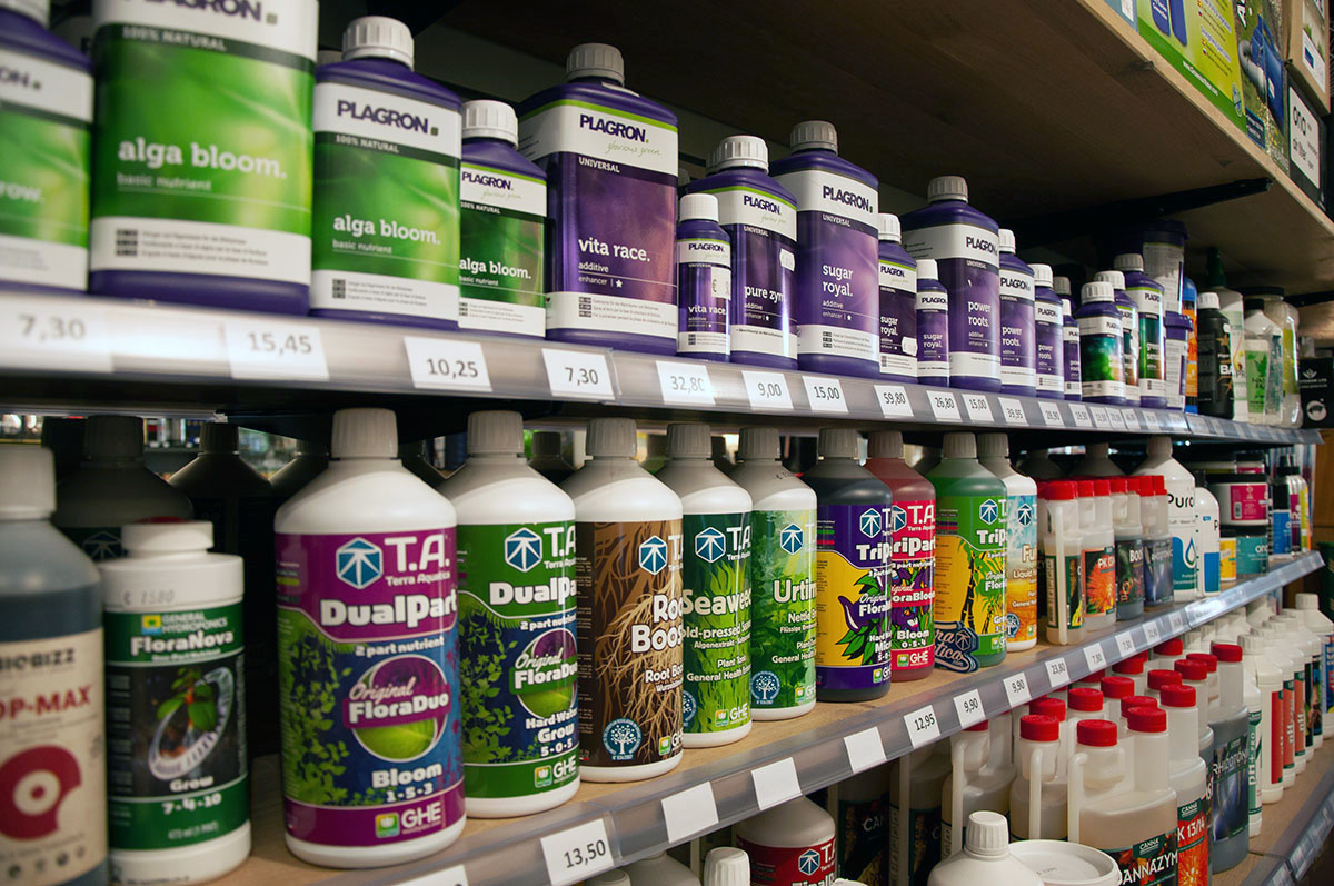 Hanf-Shops - kostenlose Lieferung ab - Deutschland -  Wer Pflanzen liebt -- findet hier alles was er braucht - Magic Minden