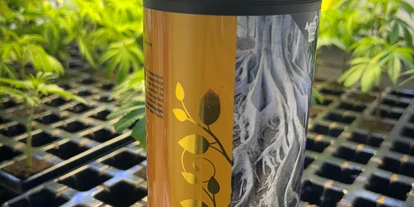Magasins de chanvre - Abholung - Rhénanie du Nord-Westphalie - Neben Wurzelboostern haben wir auch Vermehrungsmaterial / Stecklinge da. Schaut gerne vorbei.  - Urbangrow Growshop Düsseldorf