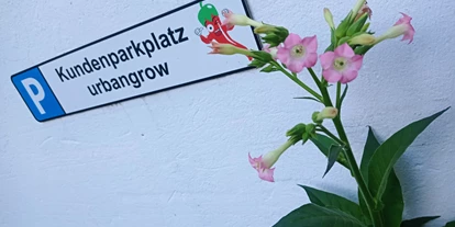 Magasins de chanvre - Abholung - Rhénanie du Nord-Westphalie - Für das entspannte Shoppingerlebnis gibt es Kundenparkplätze im Hinterhof. - Urbangrow Growshop Düsseldorf