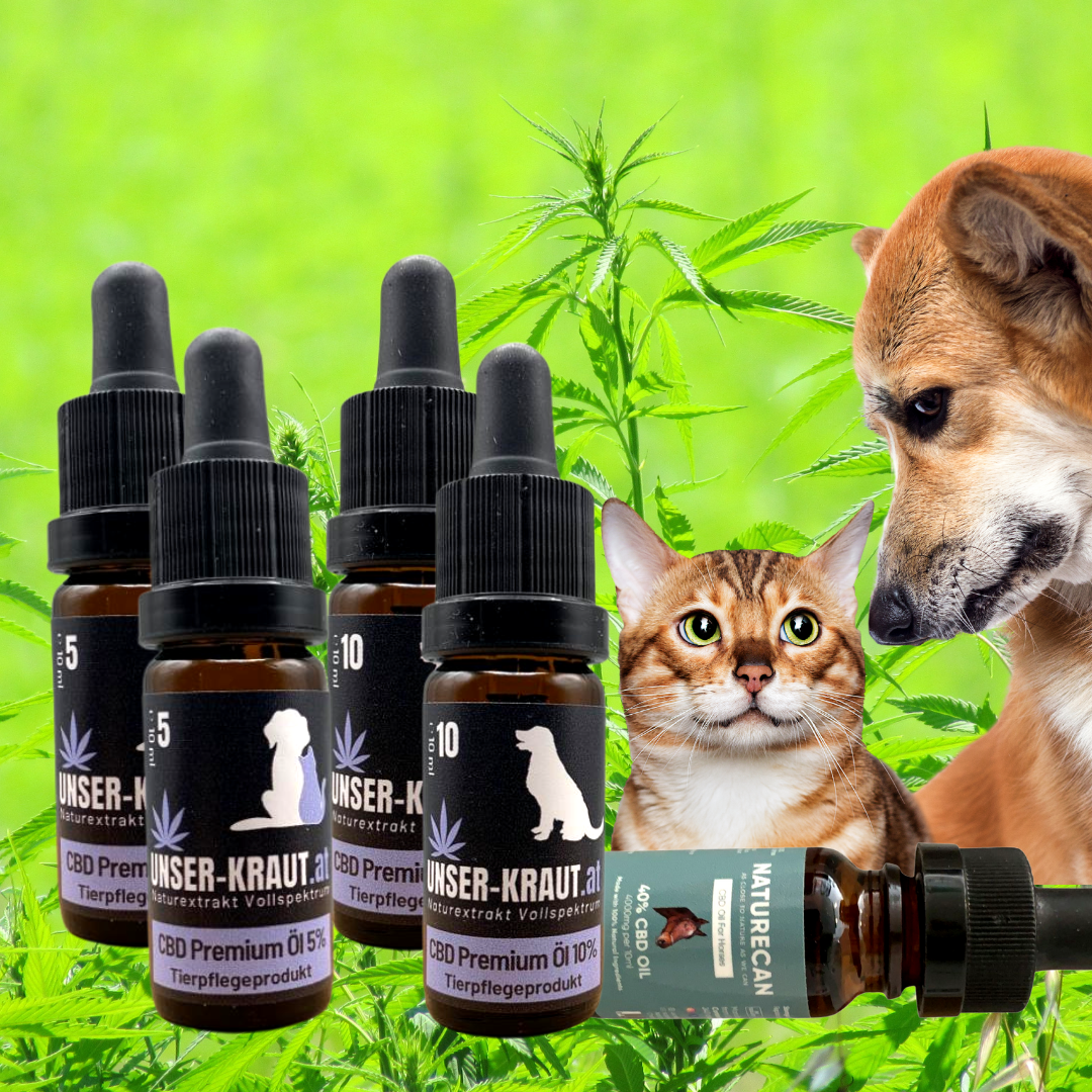 CBD-Shop: Unsere Exklusiv Marke CBD VET Tropfen-  Effektive Hilfe durch reine Pflanzenkraft ohne Chemie. Einfach anzuwenden und zu dosieren. Mit Bio Lachsöl - Omega 3 und Omega 6 Fettsäuren. Wird von Tieren gerne angenommen. Sehr gut verträglich. Zur Beruhigung bei Stress. Bei nervösen und ängstlichen Tieren. Für den Erhalt der Beweglichkeit. Harmonisierung von Darm und Verdauung. Schmerzkontrolle. Haut- und Fellpflege. Laktosefrei, fruktosefrei, getreidefrei, farbstofffrei. Ohne Aromastoffe. Ohne Konservierungsstoffe. 100% natürliche Inhaltstoffe.
Auf Schadstoffe wie Schwermetalle, Pestizide oder schädliche Toxine kontrolliert. Analysiert von der Saat bis zum fertigen Produkt. Mit Analyse von offiziellem unabhängigem Drittlabor.
 - CBD und Hanf Shop UNSER KRAUT Seefeld Tirol