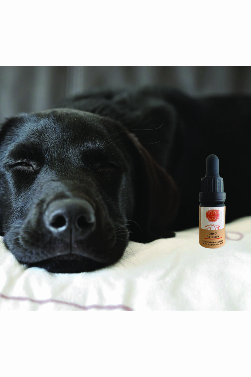Magasins de chanvre - L'Autriche - Sariwa CBD Hanftropfen für Hunde 5% - Sariwa CBD und Hanfprodukte CBD Hanftropfen Für Hunde