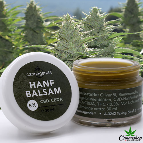 CBD-Shop: Hanfbalsam mit natürlichem BIO Bienenwachs, Ringelblume und 5% CBD Gehalt - Cannashop Austria CBD 