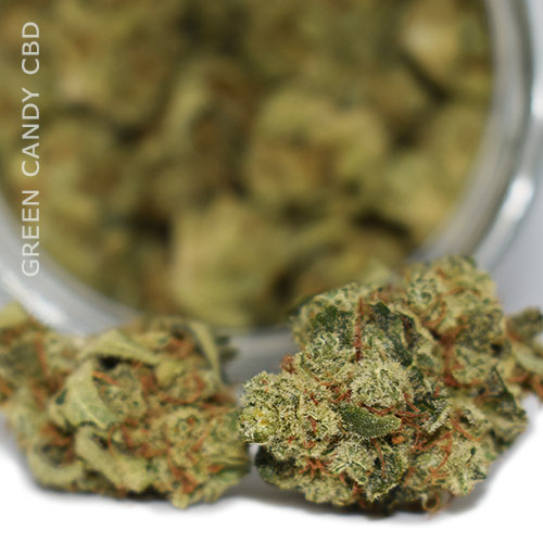 Negozi di canapa - Cannashop CBD Aromablüte Green Candy Revolution Indoor Grow aus dem Mostviertel - Cannashop Austria CBD ONLINESHOP