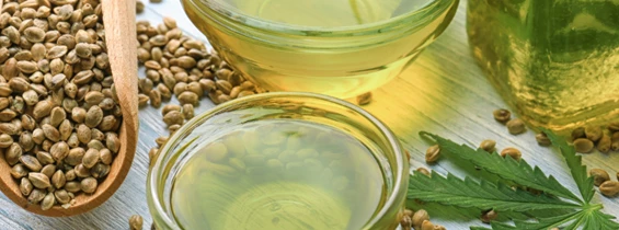 Cannabis-Messe: Symbolbild für die Hanfmesse Indicasativa Trade - Bologna. Keine korrekte oder ähnlich Darstellung
- Indicasativa Trade - Bologna