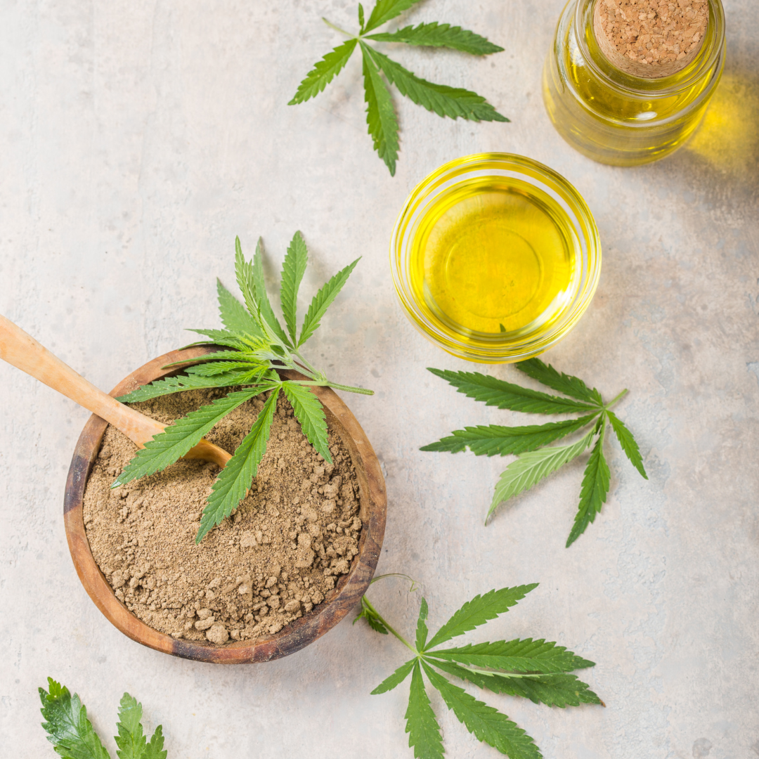 Hanfmesse: Symbolbild für die Hanfmesse Cannabis Business Europe 2023. Keine korrekte oder ähnlich Darstellung
 - Cannabis Business Europe 2023