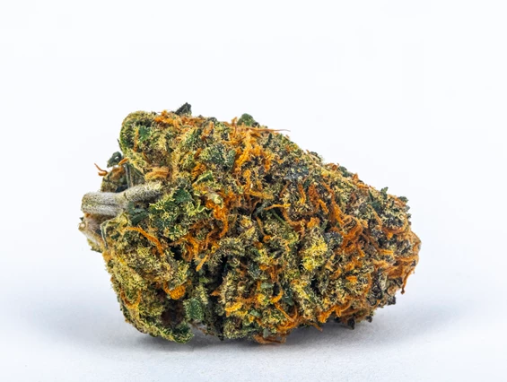 CBD-Shop: Cream Dream - Green Heaven CBD GmbH
