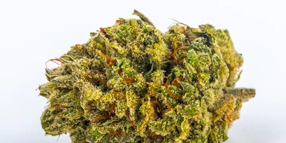 Magasins de chanvre - Waldviertel - Royal Cheese - Green Heaven CBD GmbH