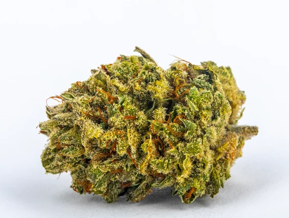 CBD-Shop: Royal Cheese - Green Heaven CBD GmbH