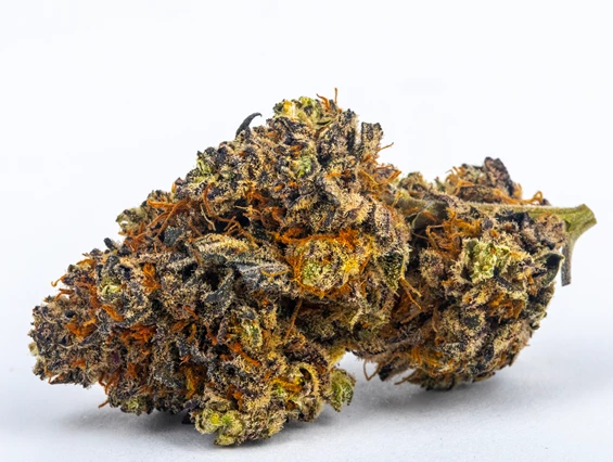 CBD-Shop: Premium Purple - Green Heaven CBD GmbH