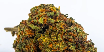 Magasins de chanvre - Waldviertel - Passion Fruit - Green Heaven CBD GmbH