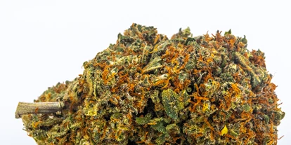 Magasins de chanvre - Waldviertel - Northern Lights - Green Heaven CBD GmbH