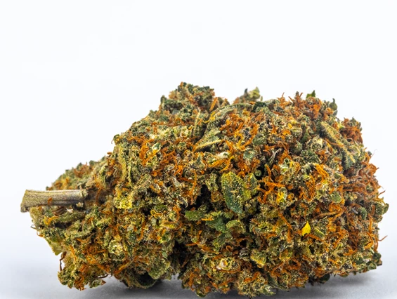 CBD-Shop: Northern Lights - Green Heaven CBD GmbH