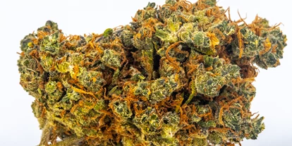 Magasins de chanvre - Waldviertel - Jack Herrer - Green Heaven CBD GmbH