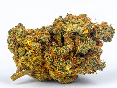 CBD-Shop: Jack Herrer - Green Heaven CBD GmbH