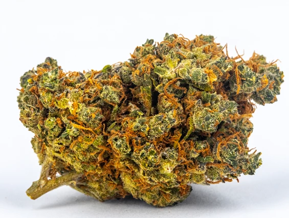 CBD-Shop: Jack Herrer - Green Heaven CBD GmbH