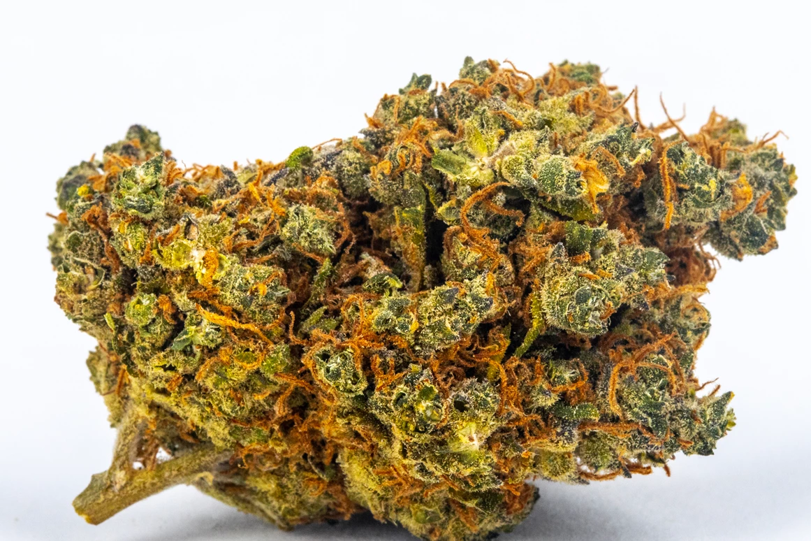 CBD-Shop: Jack Herrer - Green Heaven CBD GmbH