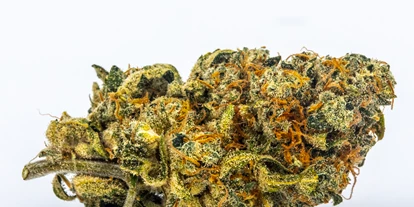 Magasins de chanvre - Waldviertel - CBG Citrus - Green Heaven CBD GmbH