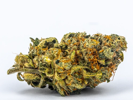 CBD-Shop: CBG Citrus - Green Heaven CBD GmbH