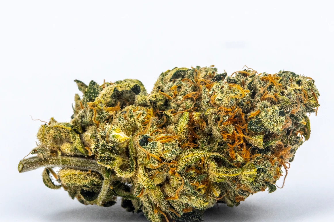 CBD-Shop: CBG Citrus - Green Heaven CBD GmbH