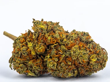 CBD-Shop: Blueberry - Green Heaven CBD GmbH