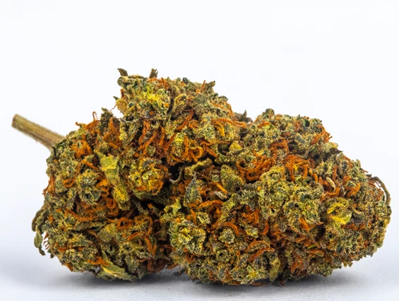 CBD-Shop: Blueberry - Green Heaven CBD GmbH