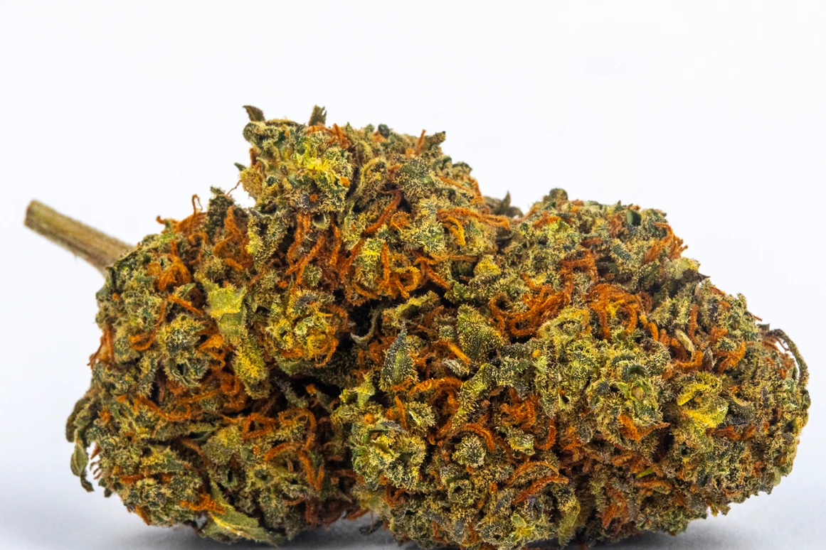 CBD-Shop: Blueberry - Green Heaven CBD GmbH