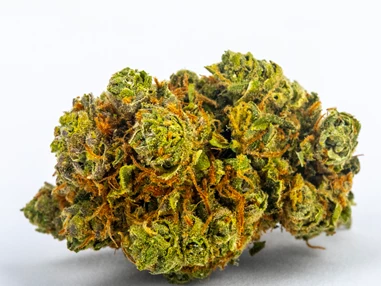 CBD-Shop: Amnesia Haze - Green Heaven CBD GmbH