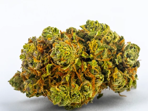 CBD-Shop: Amnesia Haze - Green Heaven CBD GmbH