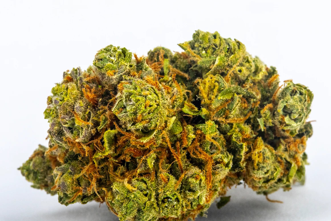 CBD-Shop: Amnesia Haze - Green Heaven CBD GmbH