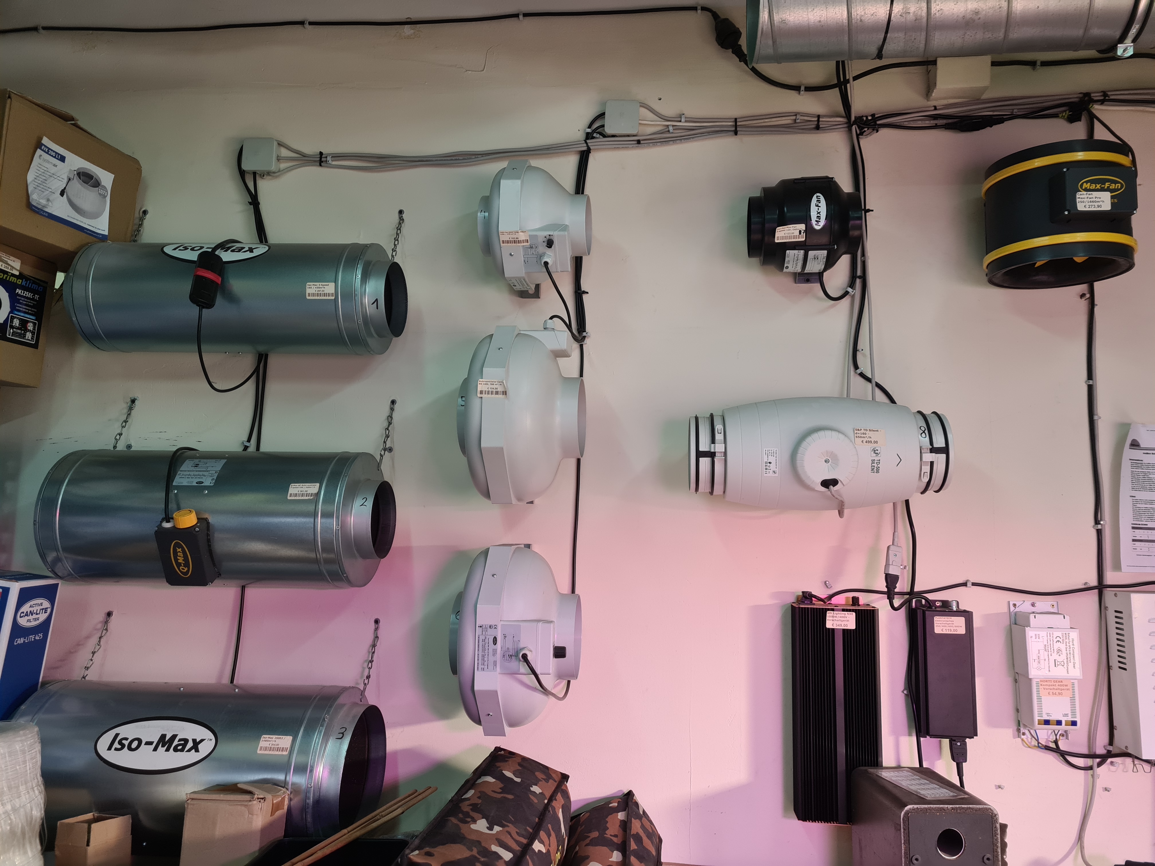 CBD-Shop: Große Auswahl - Hanfoase & Stecklingsexpress