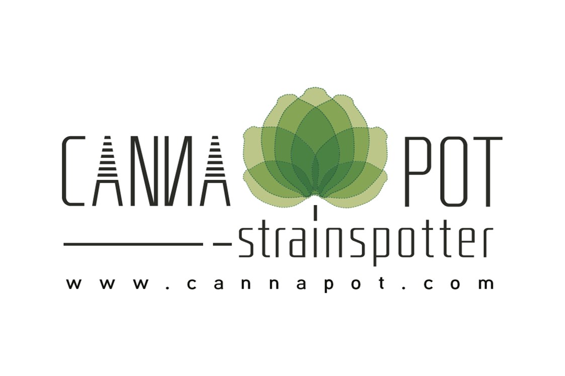 CBD-Shop: Cannapot Hanfshop - Hanfsamen und Cannabissamen, Strainspotter Seedcracker - Cannapot Hanfsamen - Online Cannabis Samen Fachhandel