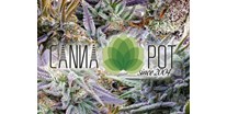 Hanf-Shops - Intro Cannapot Seedshop - animated Logo - CBD Seeds, Strainspotter, Seedcracker and more - Cannapot Hanfsamen - Online Cannabis Samen Fachhandel