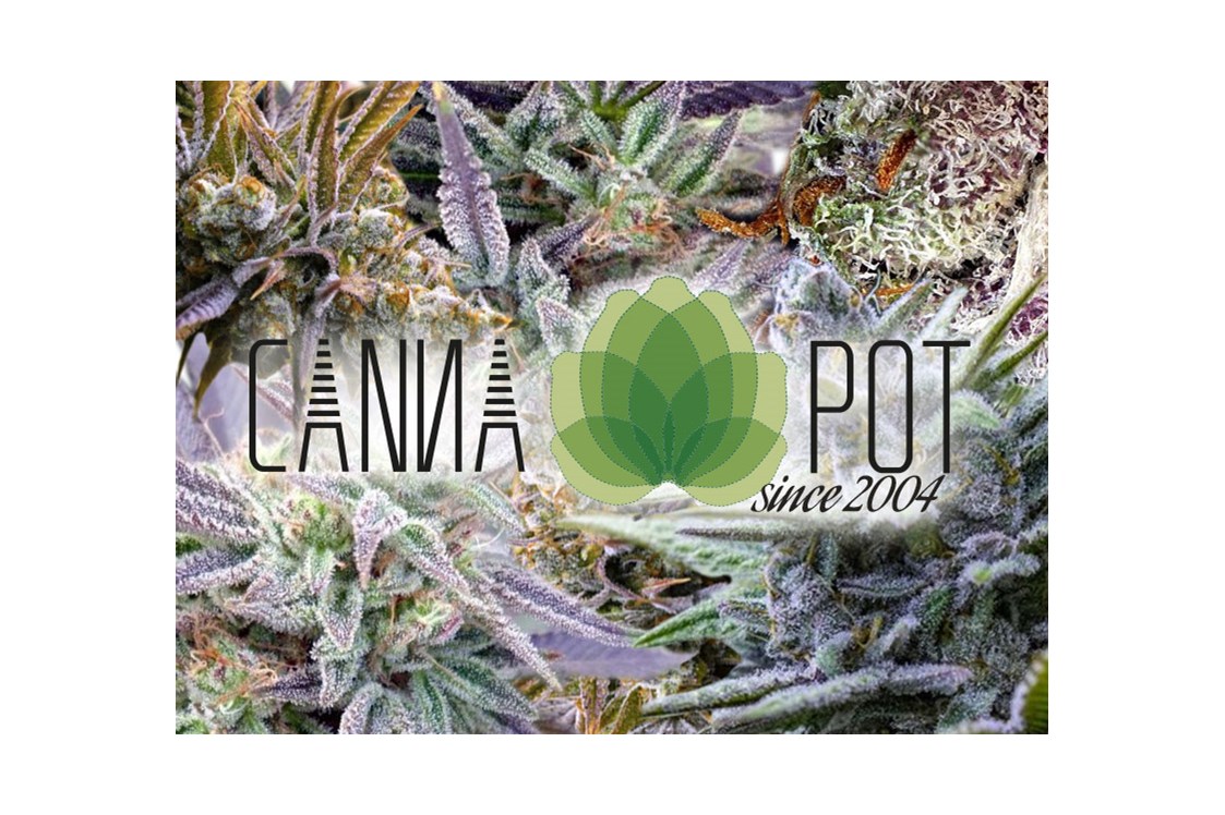 CBD-Shop: Intro Cannapot Seedshop - animated Logo - CBD Seeds, Strainspotter, Seedcracker and more - Cannapot Hanfsamen - Online Cannabis Samen Fachhandel