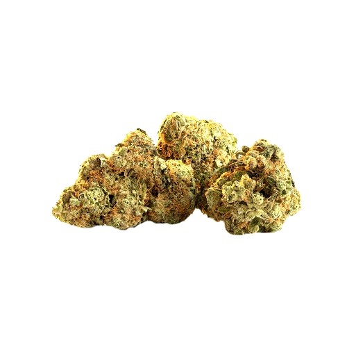 CBD-Shop: Harlequin CBD Blüten - Cannapot Hanfsamen - Online Cannabis Samen Fachhandel