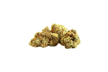 CBD-Shop: Harlequin CBD Blüten - Cannapot Hanfsamen - Online Cannabis Samen Fachhandel
