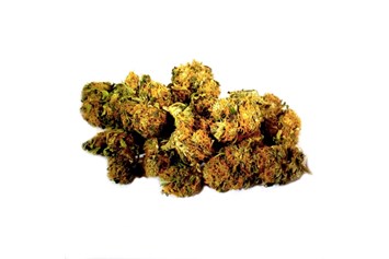 CBD-Shop: Uhrwerk Orange CBG Blüten - Cannapot Hanfsamen - Online Cannabis Samen Fachhandel