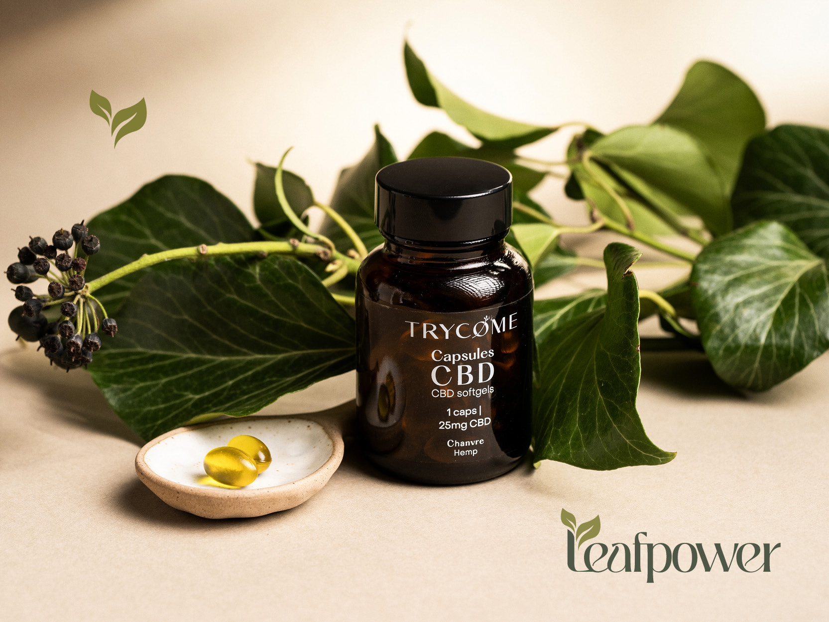 CBD-Shop: Natürliches CBD für dein Wohlbefinden. Hochwertige Produkte. Schneller Versand. 100 % legal. - Leafpower