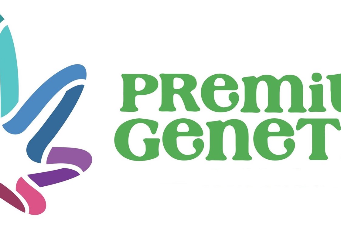 CBD-Shop: Premium Genetics