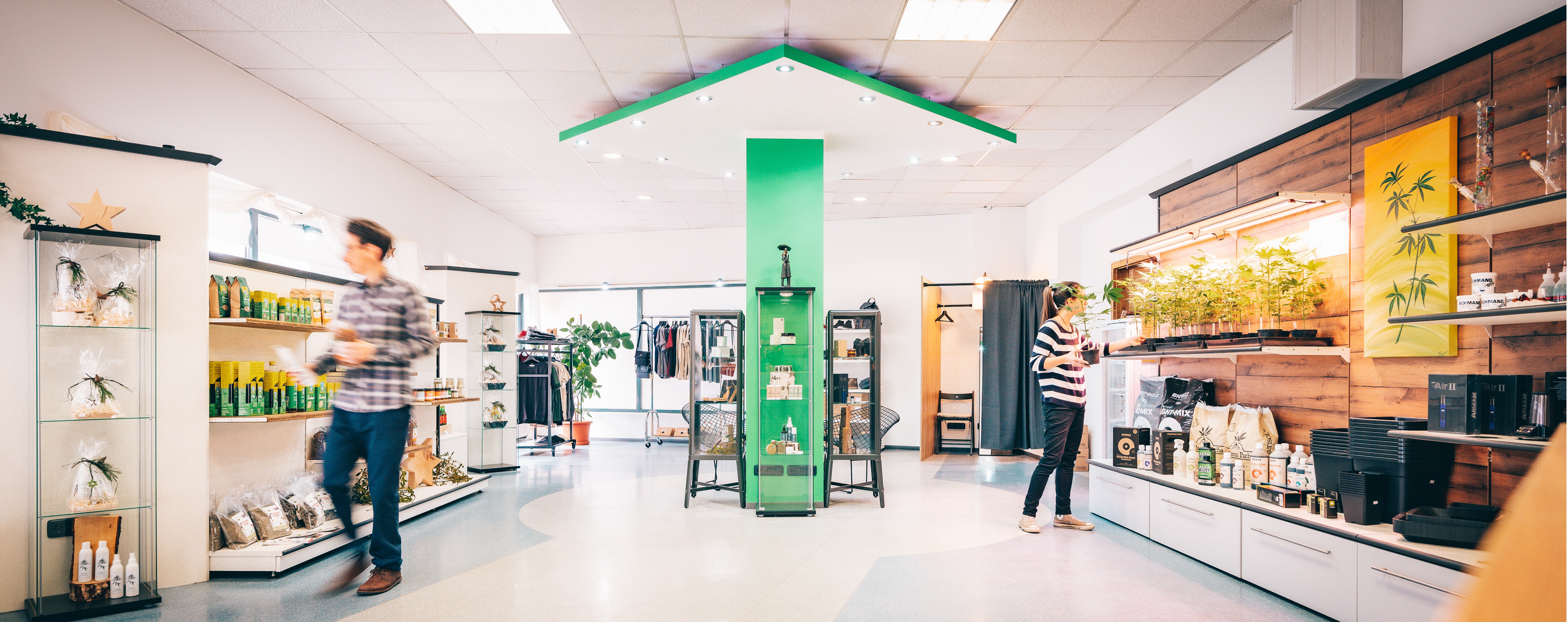 Hanf-Shops - Head-Shop - Mostviertel - PROFESSOR HANF