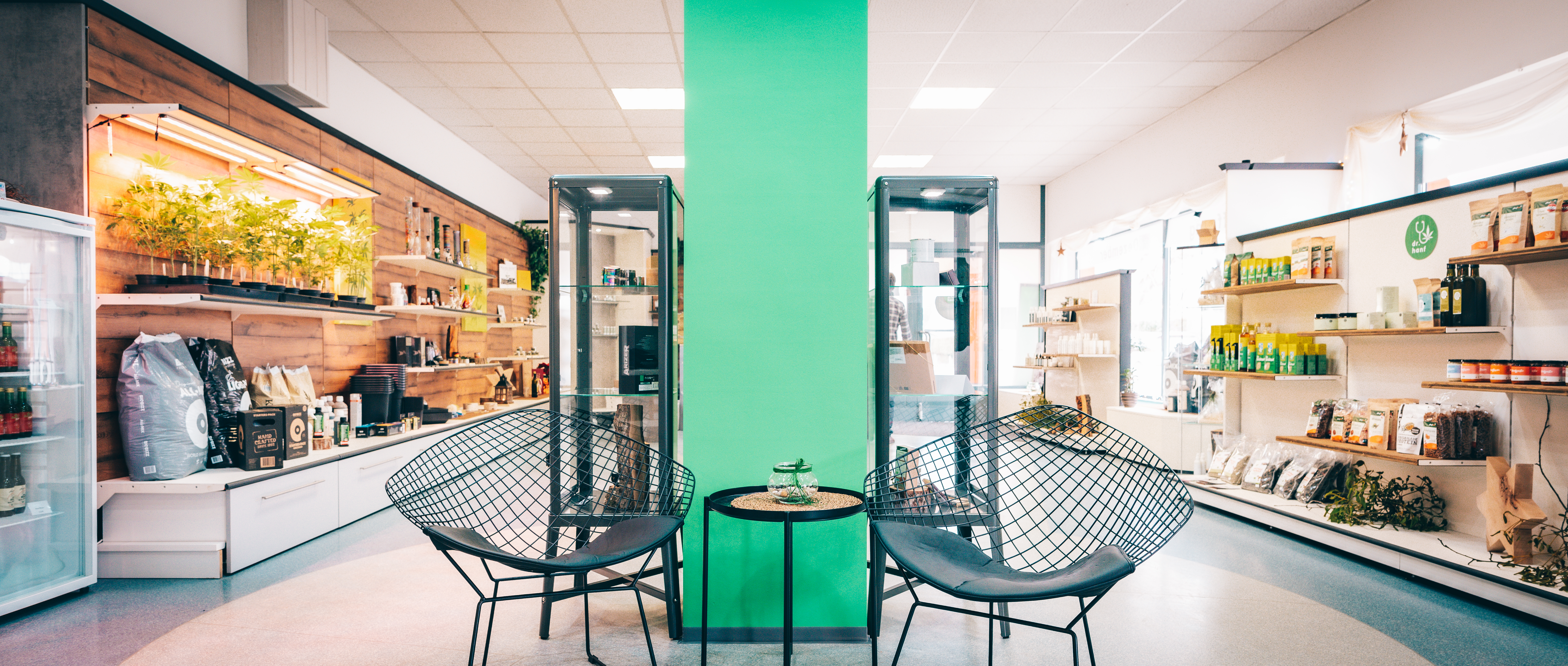 Hanf-Shops - Head-Shop - Mostviertel - PROFESSOR HANF