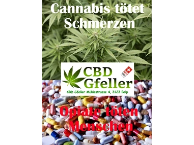 CBD-Shop: CBD Gfeller