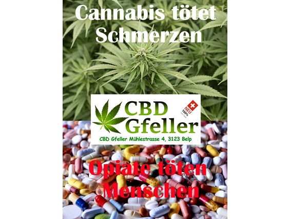 CBD-Shop: CBD Gfeller