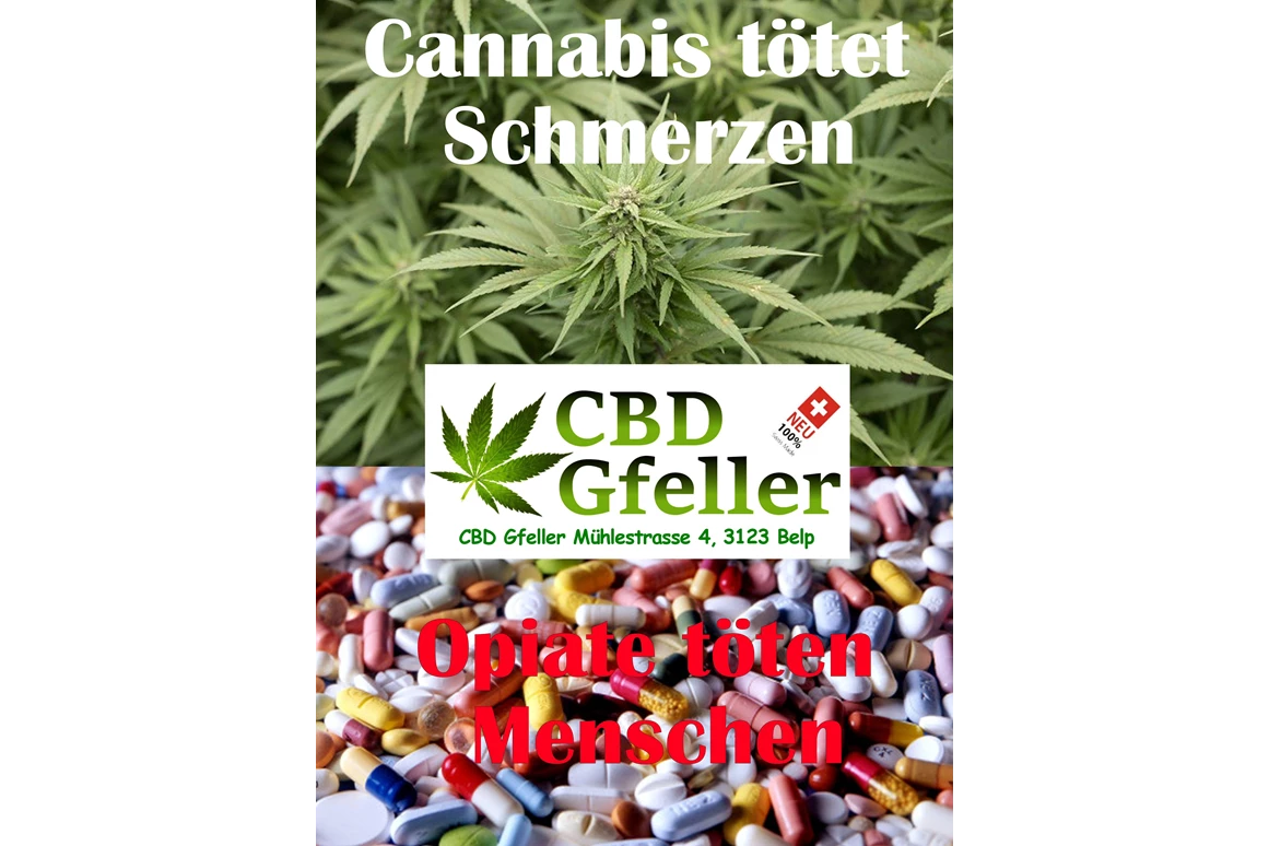 CBD-Shop: CBD Gfeller