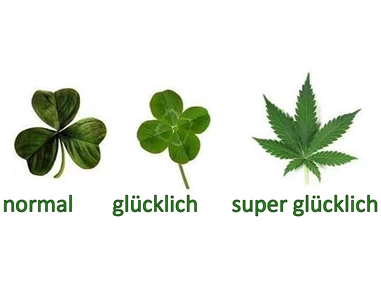 CBD-Shop: CBD Gfeller