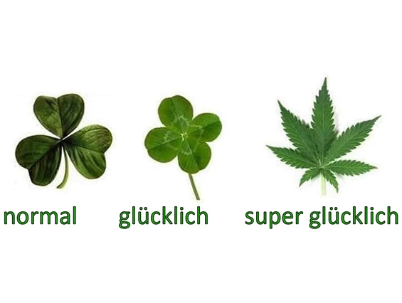 CBD-Shop: CBD Gfeller