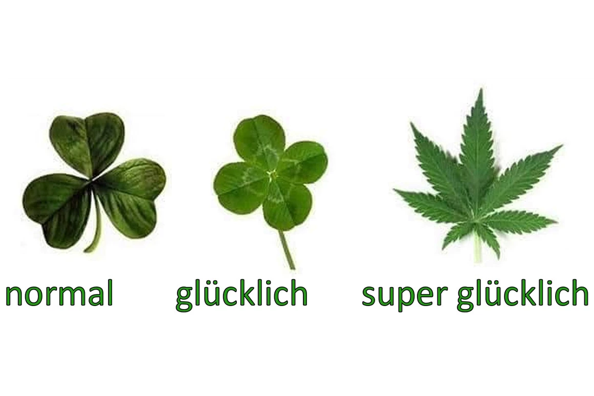 CBD-Shop: CBD Gfeller