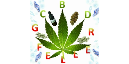 Negozi di canapa - Berna - CBD Gfeller