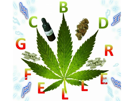 CBD-Shop: CBD Gfeller