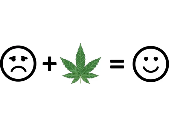 CBD-Shop: CBD Gfeller