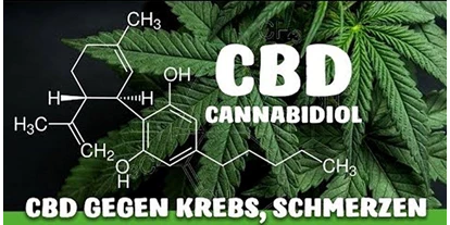 Negozi di canapa - Berna - CBD Gfeller